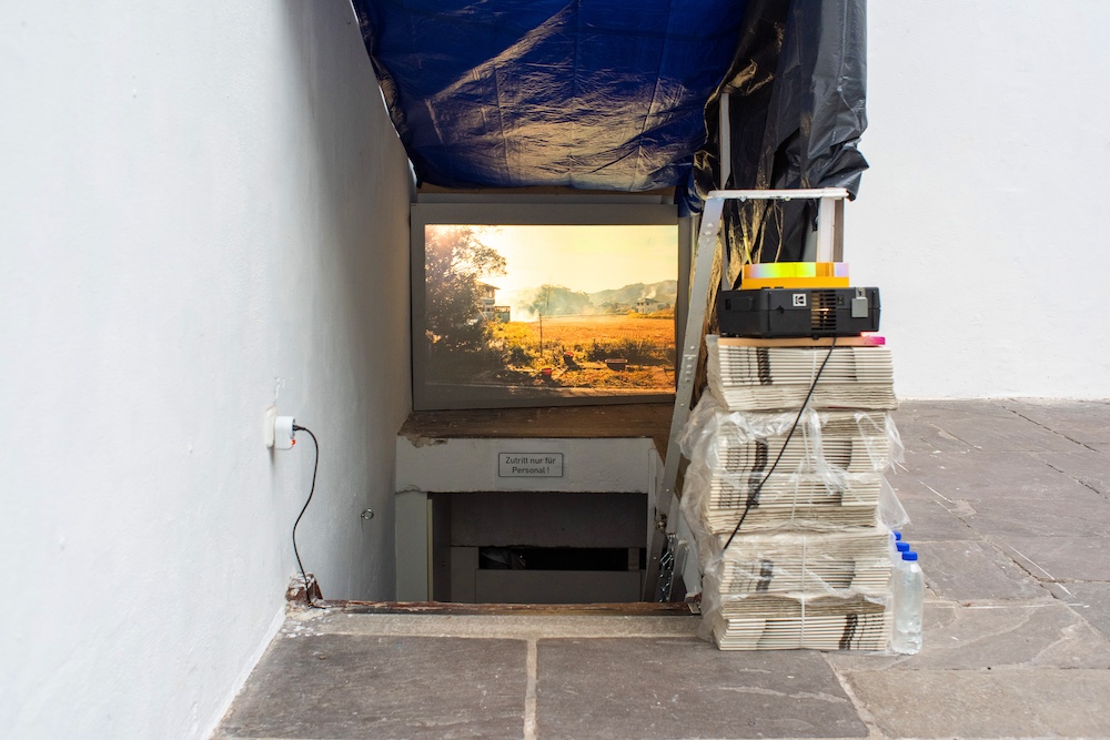 Jörg Koopmann - Der Telefant im Traum